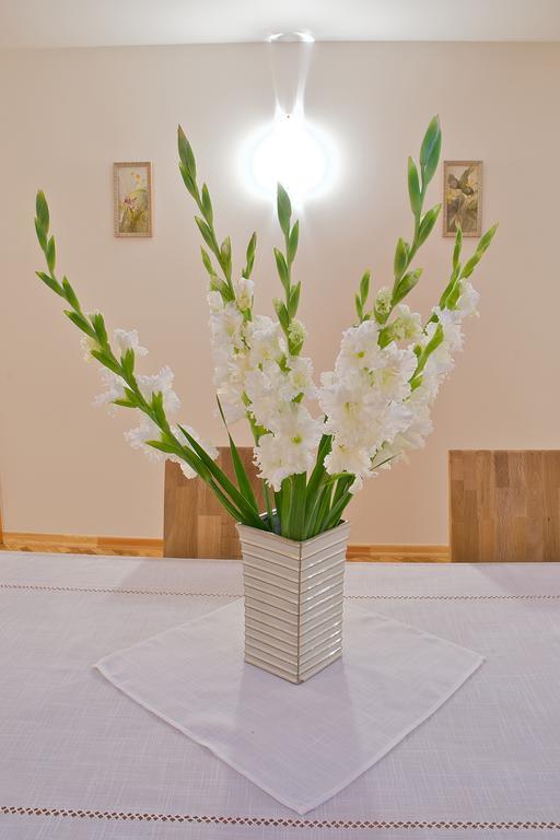 Viesu Maja Janis Hotel Madona Bagian luar foto